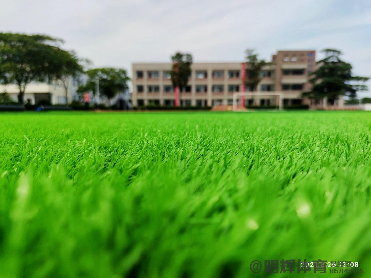 枣庄足球场人造草坪草丝形状