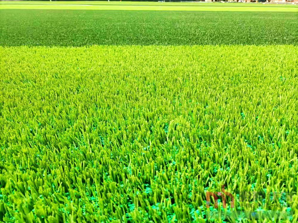 朔州人工草坪 朔州人工草坪